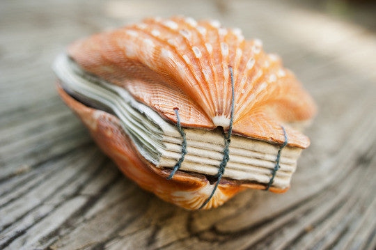 Handmade Seashell Book