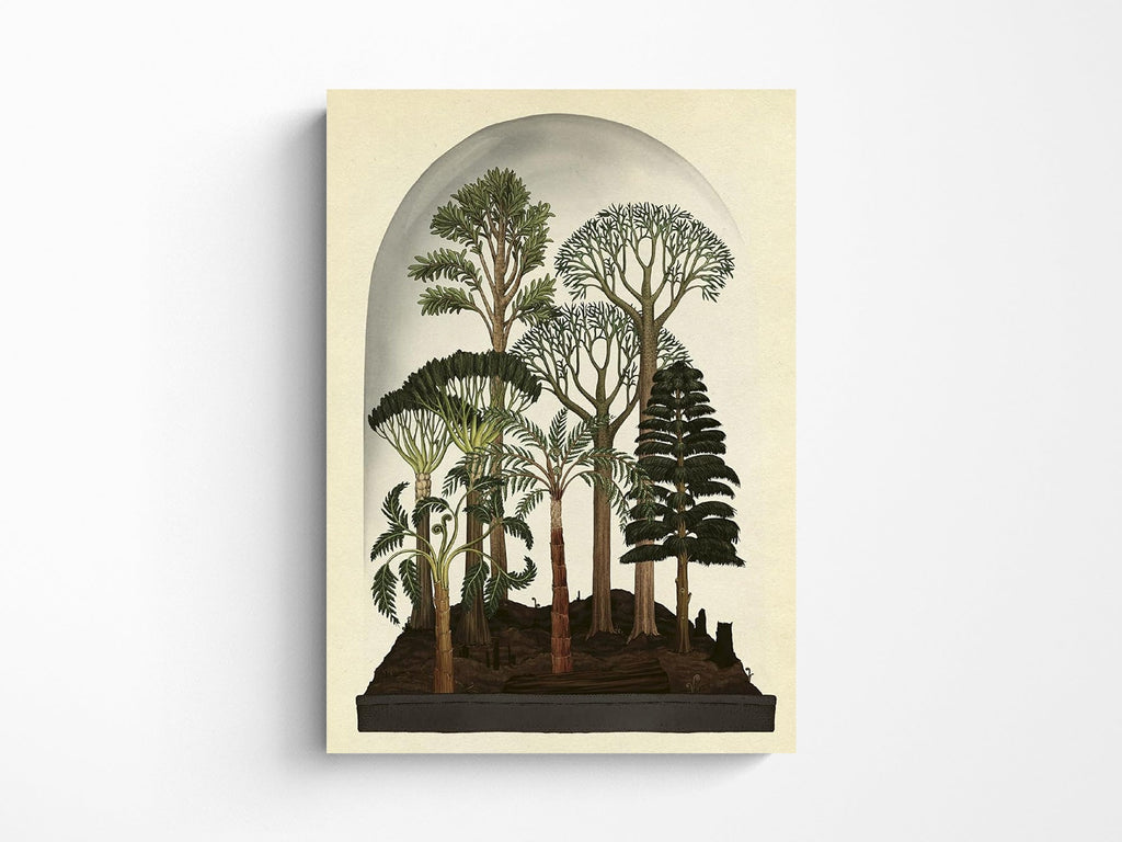 Botanicum Postcard Box Set