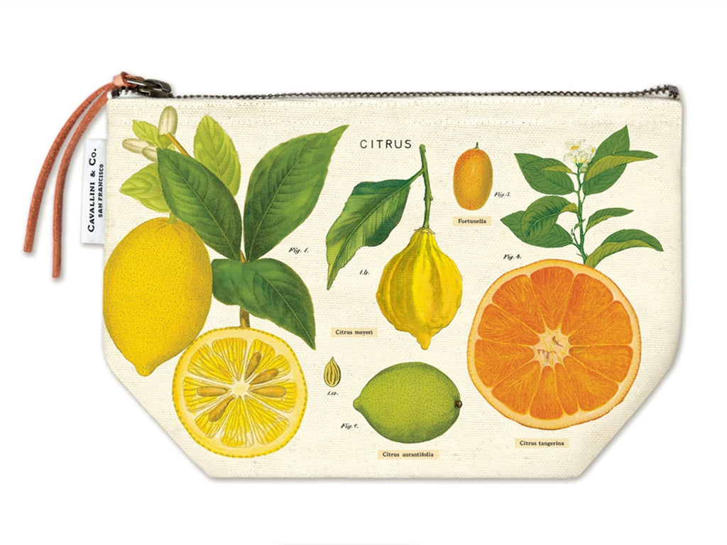 Cavallini Vintage Zipper Pouch