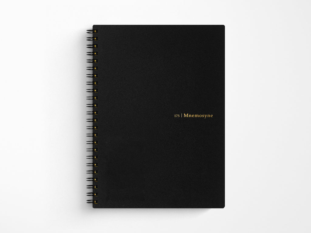 Maruman Mnemosyne Notebook N175 - A5 8mm Lined with Vertical Divider